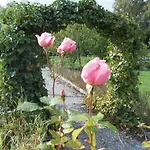 Les Trois Roses Affittacamere 3*