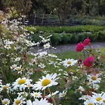 Les Trois Roses 3* Abbeville